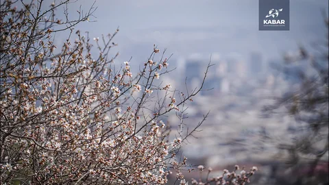 00_01_33_15.Still073.max-1920x1080.format-webp.webp