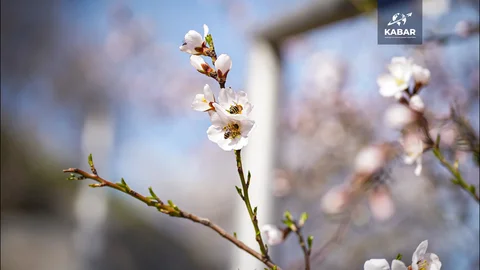 00_01_38_20.Still072.max-1920x1080.format-webp.webp