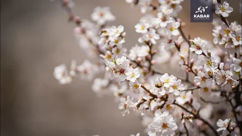 00_01_43_25.Still074.max-1920x1080.format-webp.webp