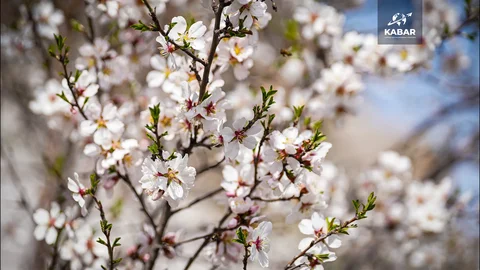 00_01_48_29.Still075.max-1920x1080.format-webp.webp