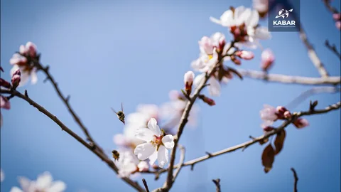 00_01_52_11.Still076.max-1920x1080.format-webp.webp