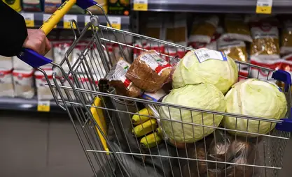 Kyrgyz economy minister calls major food suppliers to reduce prices of socially significant goods