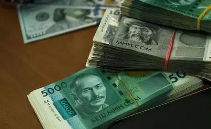 State Tax Service: Shadow economy in Kyrgyzstan drops by 20%