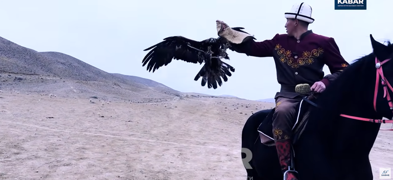 111_FhcrqT0.width-800