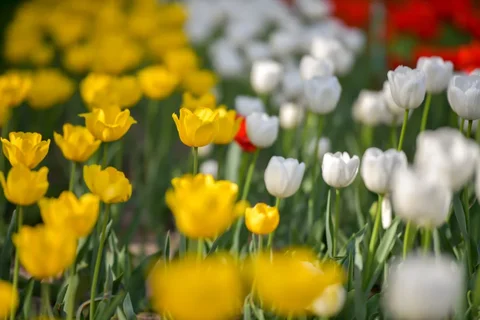 1775629647.max-2560x1440.format-webp.jpegquality-90.webp