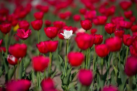 1775629651.max-2560x1440.format-webp.jpegquality-90.webp