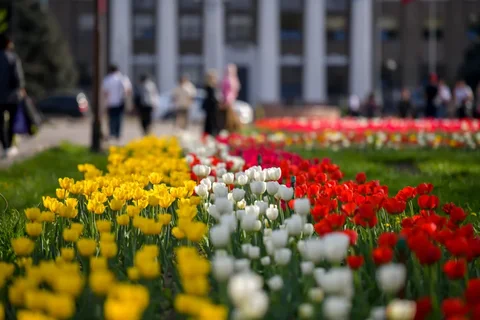 1775629654.max-2560x1440.format-webp.jpegquality-90.webp
