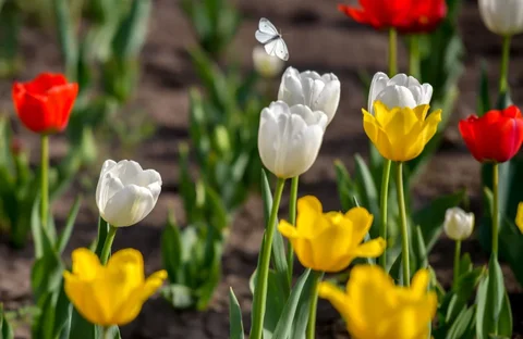 1775629667.max-2560x1440.format-webp.jpegquality-90.webp