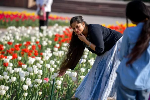 1775629671.max-2560x1440.format-webp.jpegquality-90.webp