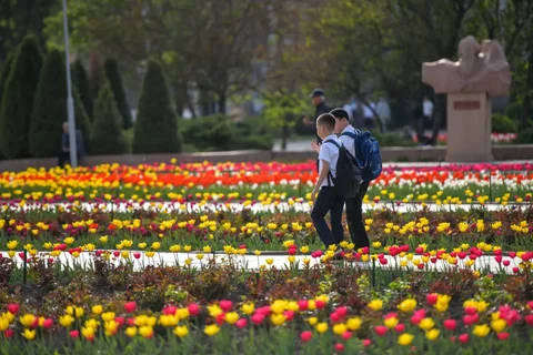 1775629678.max-2560x1440.format-webp.jpegquality-90.webp