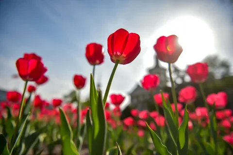 1775629690.max-2560x1440.format-webp.jpegquality-90.webp