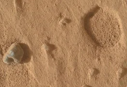 1789027838802438253_1200x630.jpg
