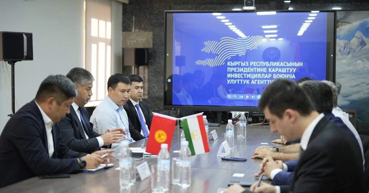 Tajikistan's TGEM expresses interest in Kyrgyzstan's projects