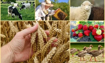 Bishkek to host large-scale forum "AgroDialogue-2026"