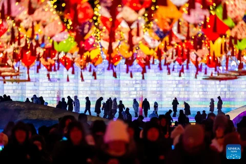 20251221d1d9ff744bb348cabb4047aa2cb87246_2025122144c845a1ec2947fa8362f7a48524a56e.png