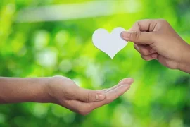 26186__5o0pyxo.max-320x180.format-webp.webp