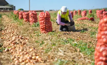 What harvest collected Kyrgyzstan in 2024 - statistics