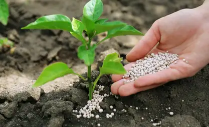 Kyrgyzstan bans export of mineral fertilizers