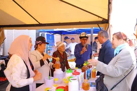 27_II.webp_NAM_0 (7).webp