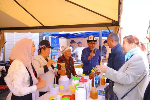 27_II.webp_NAM_0 (7).webp