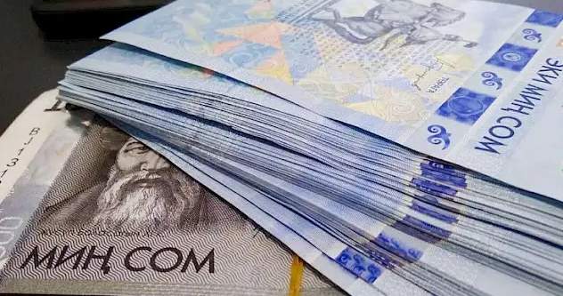 Kyrgyz government finances transplantation sector 64 mln soms in 2026