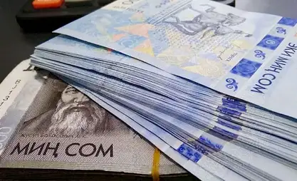 Kyrgyz government finances transplantation sector 64 mln soms in 2026