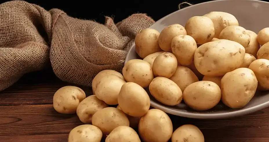 Kyrgyzstan temporary restricts potato imports
