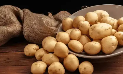 Kyrgyzstan temporary restricts potato imports