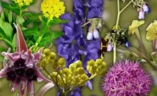 3ea5d48f-da67-4f88-94e9-984607b.max-320x180.format-webp.webp