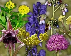 3ea5d48f-da67-4f88-94e9-984607b.max-320x180.format-webp.webp