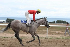 4ba4fc95-c711-.max-2560x1440.format-webp.jpegquality-90.webp