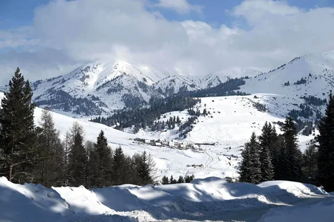 52065342778042_1ASPUbN.max-2560x1440.format-webp.jpegquality-90.webp