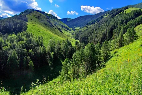 53346591823742_48ivUTB.max-2560x1440.format-webp.jpegquality-90.webp