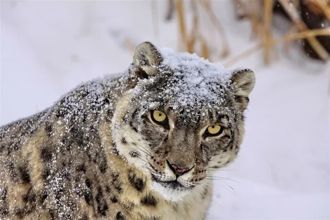 53346591823742_SCztypV.max-2560x1440.format-webp.jpegquality-90.webp