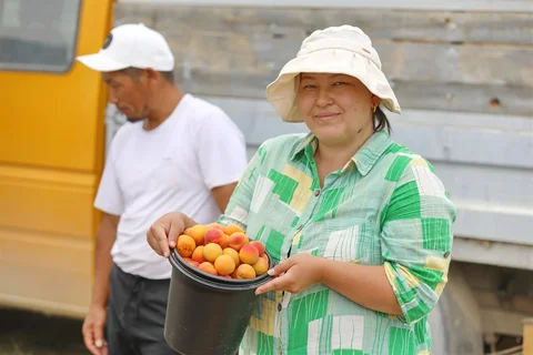 533584756_1023.max-2560x1440.format-webp.jpegquality-90.webp