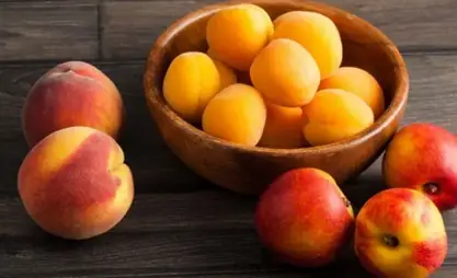Kyrgyzstan prepares to supply apricots and peaches to China