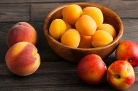 533928.max-2560x1440.format-webp.jpegquality-90.webp