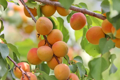 534679028_1023.max-2560x1440.format-webp.jpegquality-90.webp