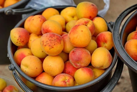 535169703_1023.max-2560x1440.format-webp.jpegquality-90.webp