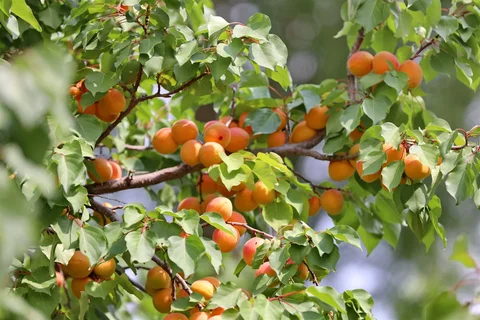 535823670_1023.max-2560x1440.format-webp.jpegquality-90.webp