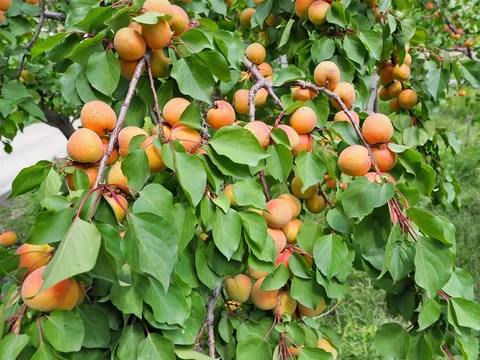535867946_1023.max-2560x1440.format-webp.jpegquality-90.webp