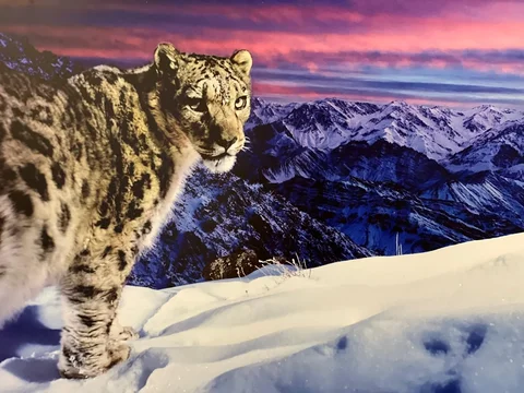 571102579_2486.max-2560x1440.format-webp.jpegquality-90.webp