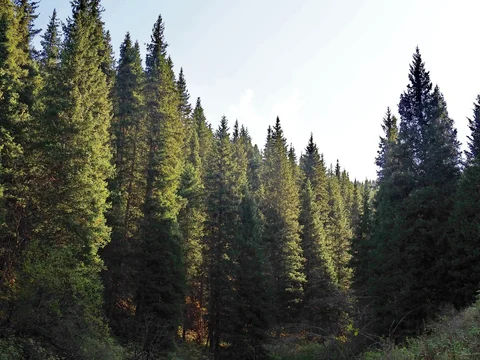579605116_1023.max-2560x1440.format-webp.jpegquality-90.webp