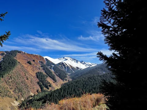 579673657_1023.max-2560x1440.format-webp.jpegquality-90.webp