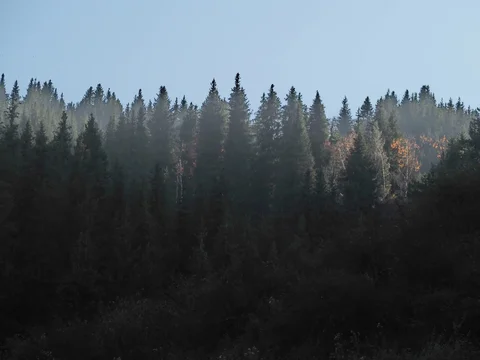 579676861_1023.max-2560x1440.format-webp.jpegquality-90.webp