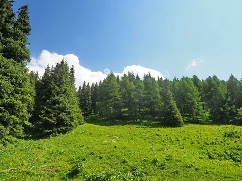 581924228_1023.max-2560x1440.format-webp.jpegquality-90.webp