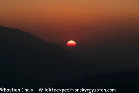 583069588_8309.max-2560x1440.format-webp.jpegquality-90.webp