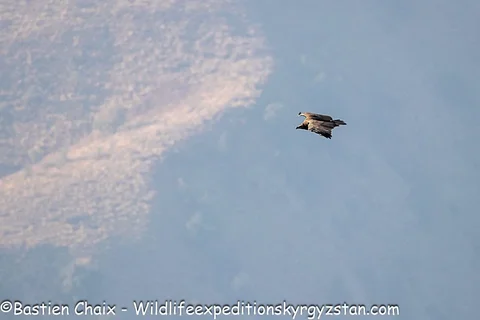 583666577_8309.max-2560x1440.format-webp.jpegquality-90.webp