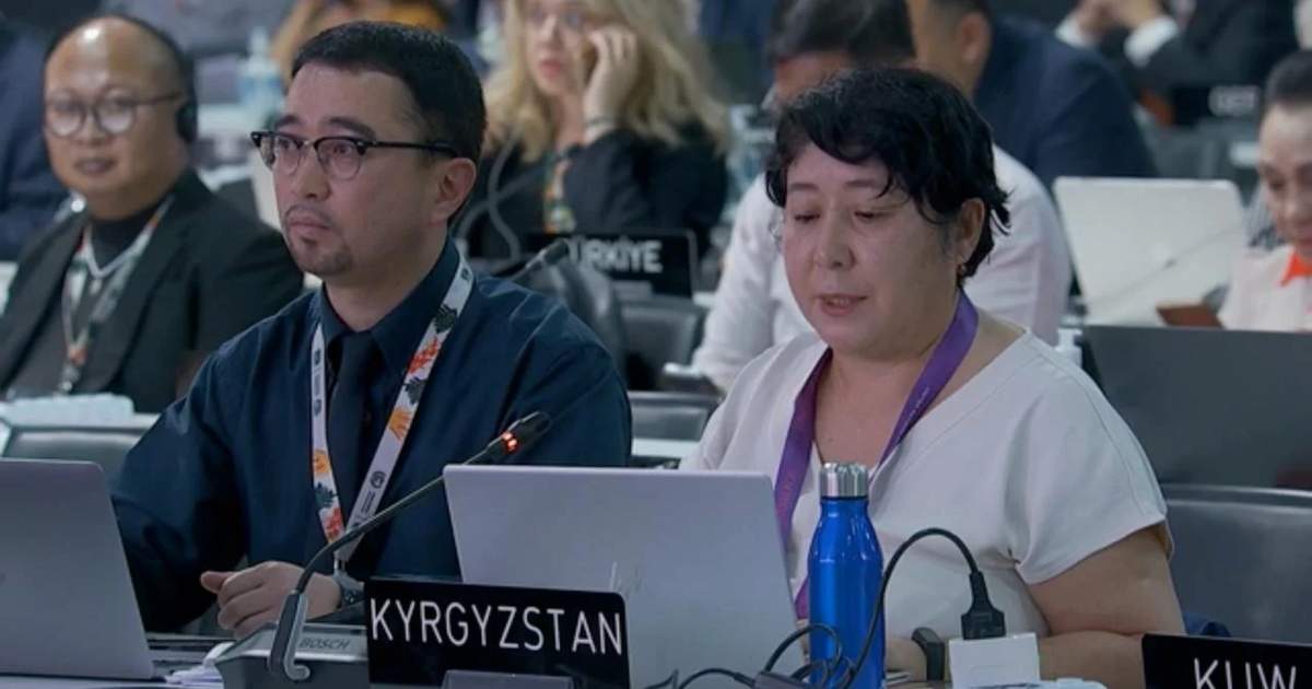 Kyrgyzstan promotes mountain agenda at COP30 in Brazil - Kabar