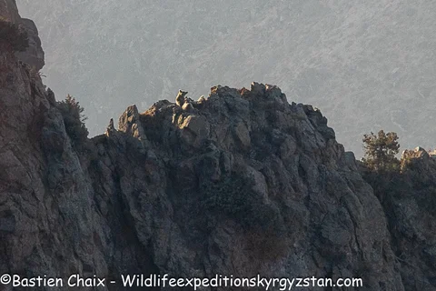 583908544_8309.max-2560x1440.format-webp.jpegquality-90.webp